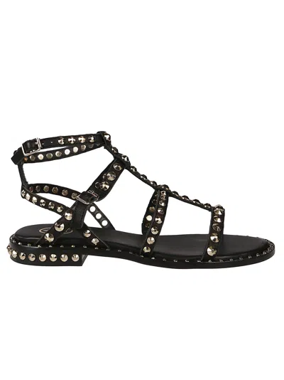 Ash Flat Sandals Precious01