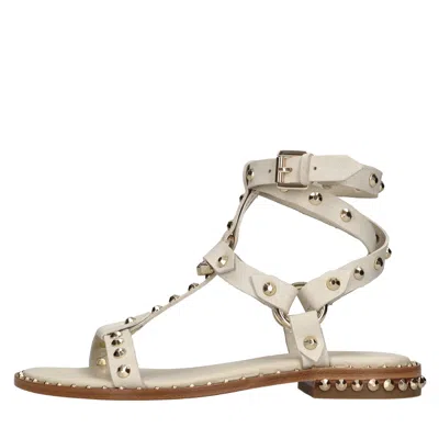Ash Flat Shoes Beige In White