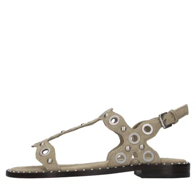 Ash Flat Shoes In Brown