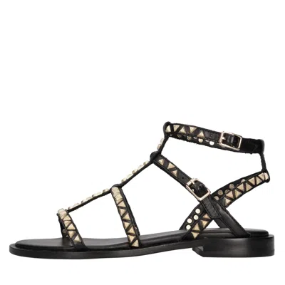Ash Flat Shoes Black