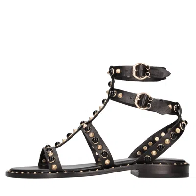 Ash Stud-embellished Leather Flat Sandals In Black