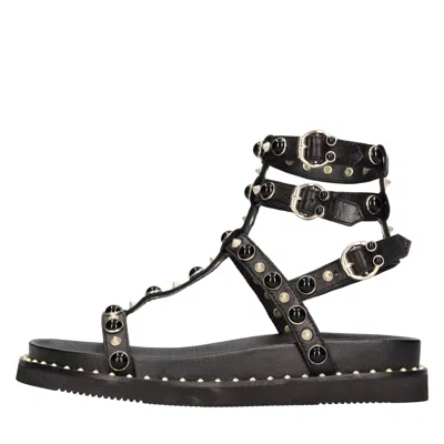 Ash Upup Studded Leather Sandals In Black