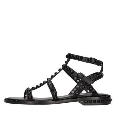 Ash Flat Shoes Black In Nero Scuri