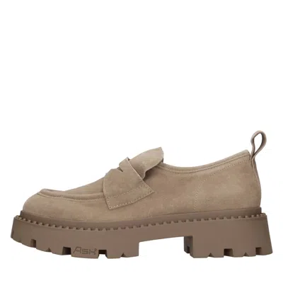 Ash Flat Shoes Brown In Marrone Marroni