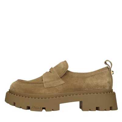 Ash Flat Shoes Brown In Marrone Marroni