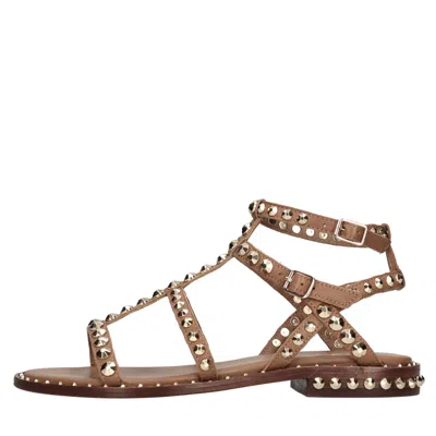 Ash Flat Shoes Brown In Marrone Scuri