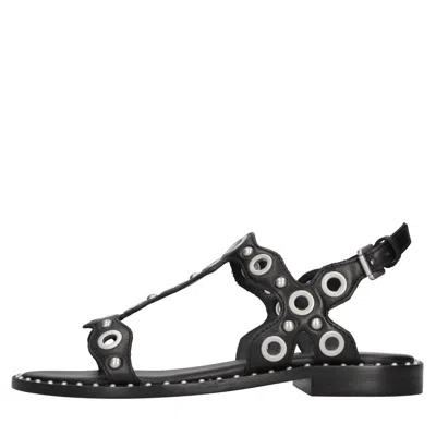 Ash Flat Shoes In Black