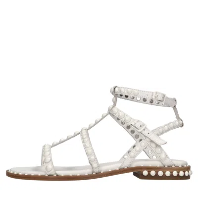 Ash Flat Shoes White In Bianco Neutri