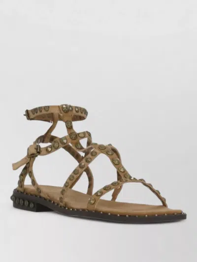 Ash Flat Sole Round Open Toe Sandals In Brown