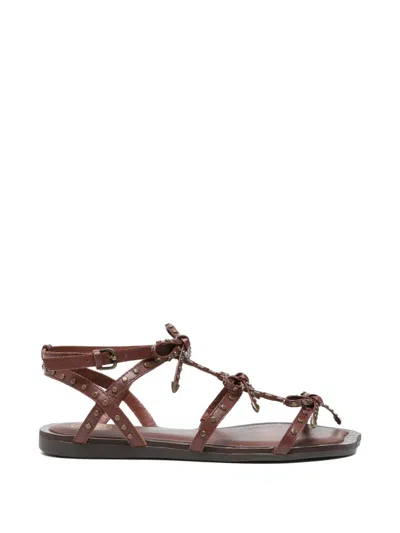 Ash Gladius Studded Bow-detail Sandals In Brown