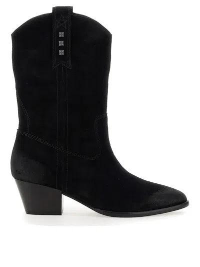 Ash Pointy Boots In Black