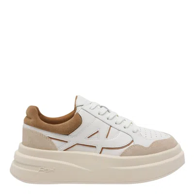 Ash Icone Sneakers In Multi