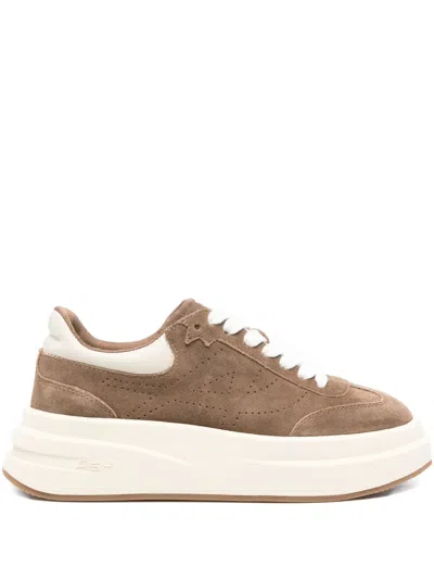Ash Idol Platform Suede Sneakers In Brown