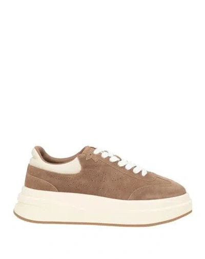 Ash Idol Woman Sneakers Taupe Size 10 Calfskin In Grey