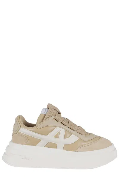 Ash Impetus Sneakers In White