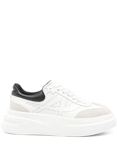 ASH IMPULSE SNEAKERS