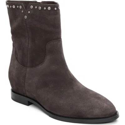 Ash Jackie Bootie In Gray