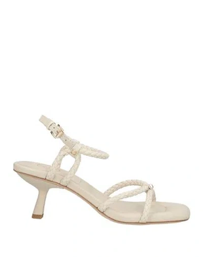 Ash Jessbis 03 Woman Sandals Ivory Size 7 Synthetisches Material In White