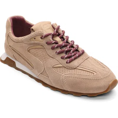 Ash Kasar Sneaker In Multi