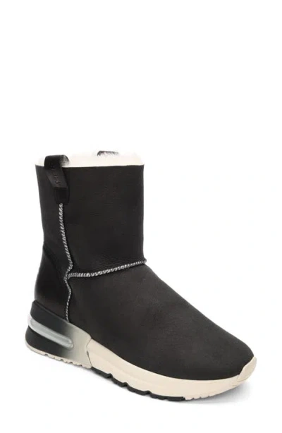 Ash Kyoto Faux Shearling Bootie In Black/black