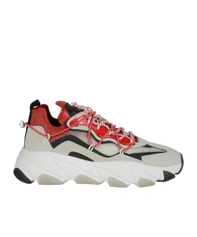 Ash Lace-up Sneakers In Multi