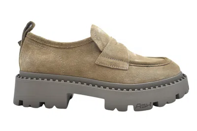 ASH ASH LACED FLAT SHOES WITH SUEDE FINISH