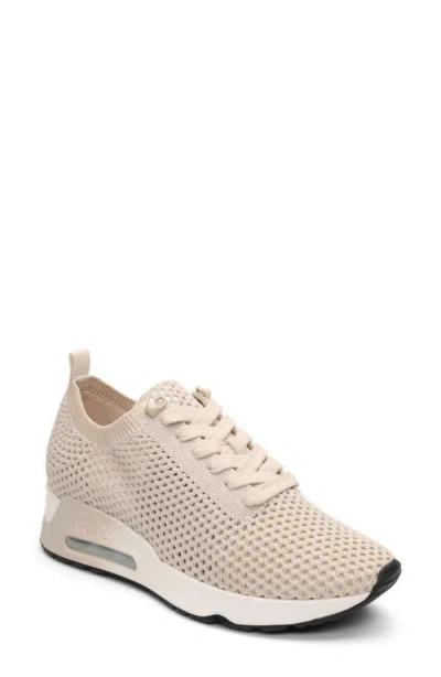 Ash Laika Mesh Sneaker In Talc