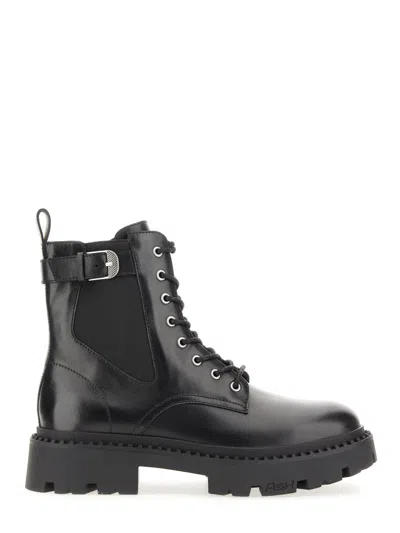 Ash Leather Amphibian