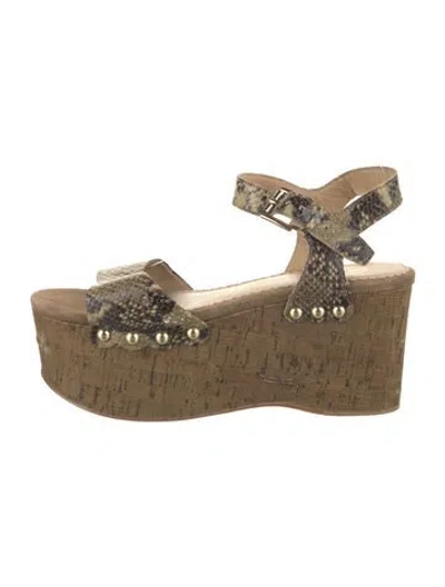 Pre-owned Ash Leather Animal Print Sandals In Green