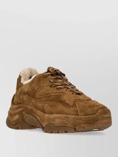 Ash Leather Low-top Sneakers In Brown