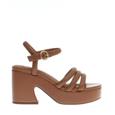 Ash Leather Sandal With Heel And Platò In Brown