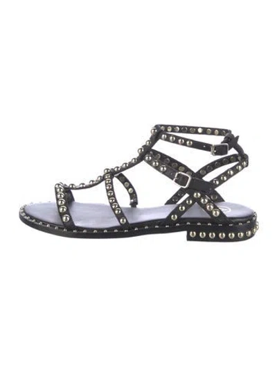 Pre-owned Ash Leather Studded Accents Gladiator Sandals In Multi
