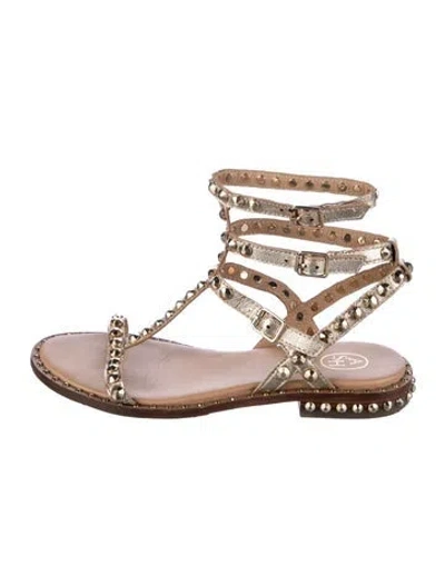 Pre-owned Ash Leather Studded Accents Gladiator Sandals In Neutrals