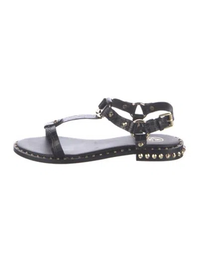 Pre-owned Ash Leather Studded Accents Sandals In Black
