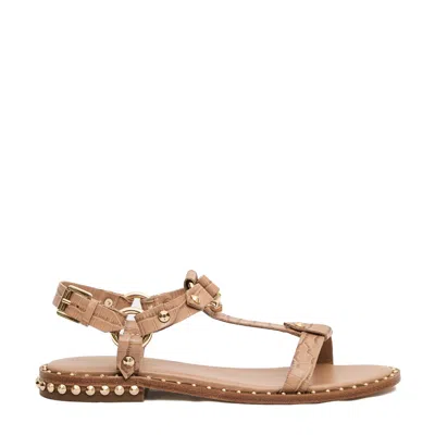 Ash Low Coconut Sandal Beige With Studs In Neutral