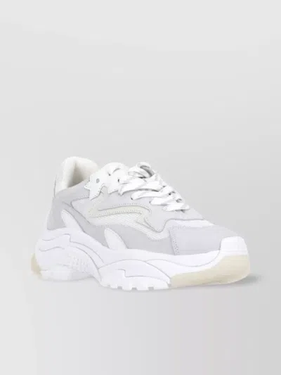 Ash Low Top Leather Sneakers