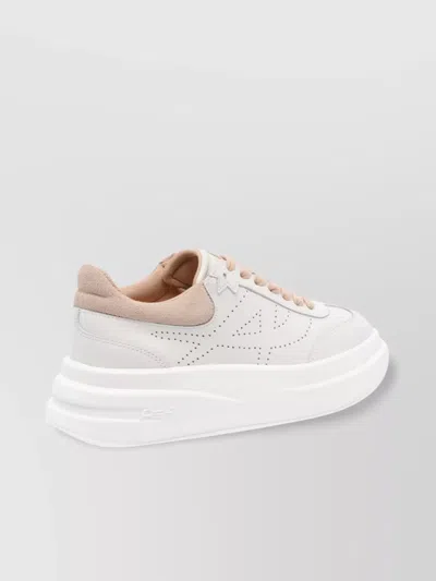 Ash Low Top Leather Sneakers With Contrast Sole In White