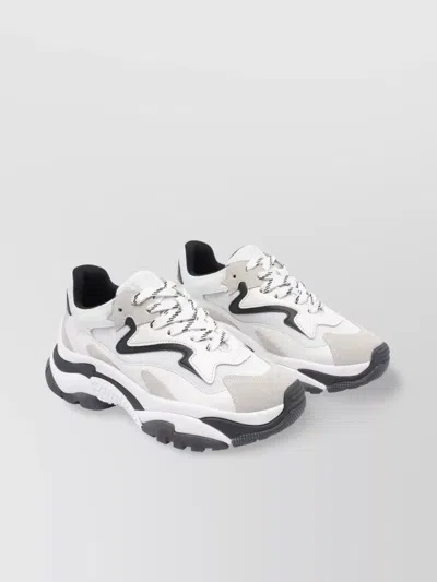 Ash Low Top Sneakers Chunky Sole In White