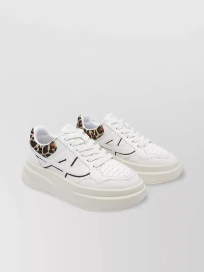 Ash Low Top Sneakers Leopard Print In White