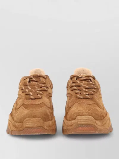 Ash Low-top Sneakers In Brown