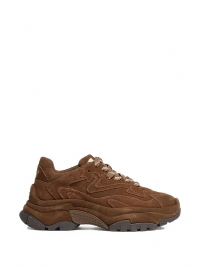 Ash Low-top Sneakers With Addict Bis Panels In Multi