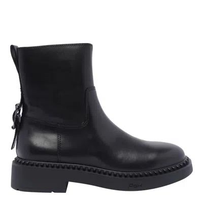 Ash Stylish Ankle Boots With Buckle And Chunky Sole In Black