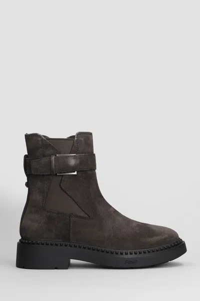 Ash Margot High Heels Ankle Boots In Brown Suede