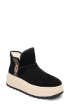 Ash Round-head Short Boots In Black