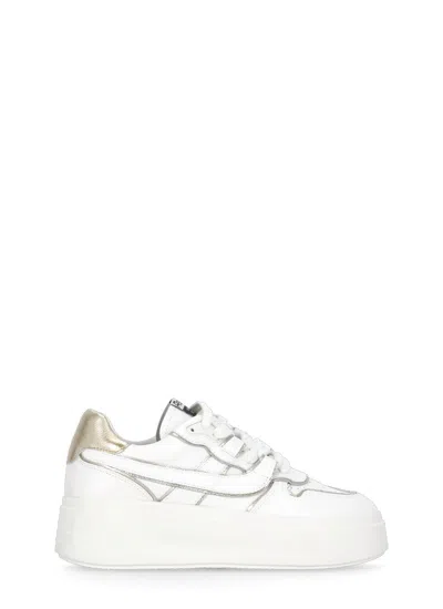 ASH MATCH BIS SNEAKERS