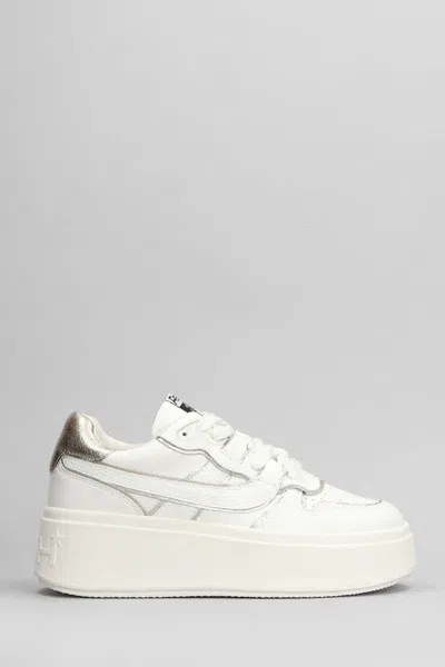 Ash Match Bis Sneakers In White