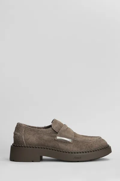 ASH MEDUSA LOAFERS IN BROWN SUEDE