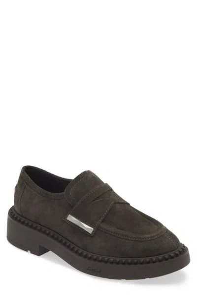 Ash Medusa Loafers In Gunmetal Suede In Grey