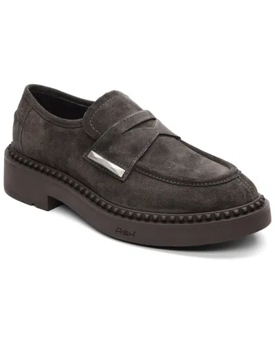 Ash Medusa Suede Loafer In Black
