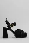 Ash Melany Ankle Strap Platform Sandal In Black